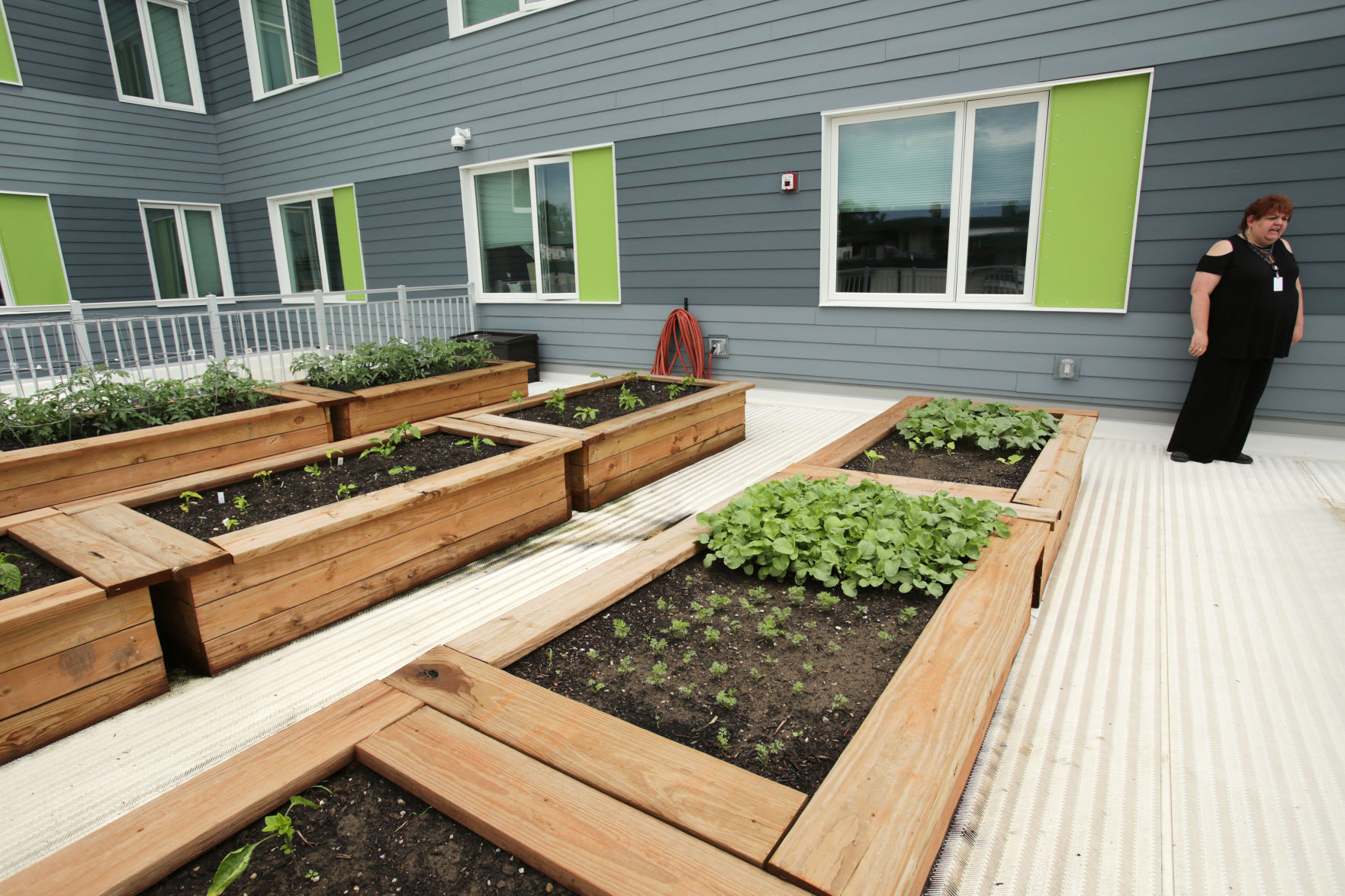 Rooftop garden